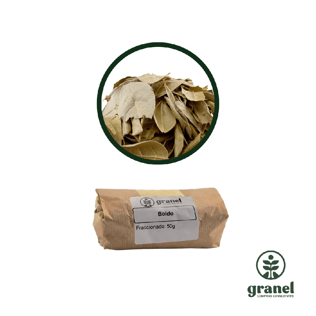 Boldo 100g