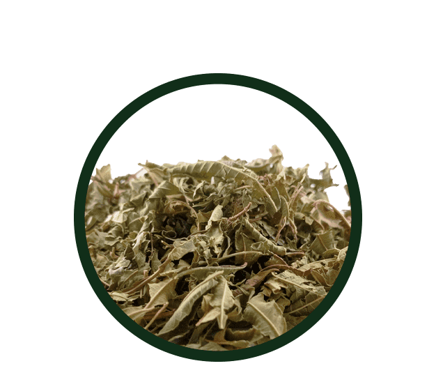 Cedrón 150g