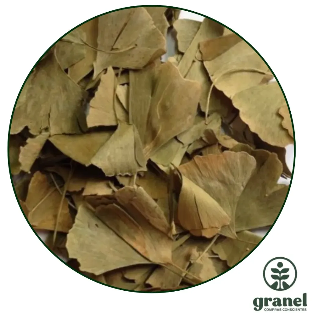 [10941] Ginkgo biloba 500g