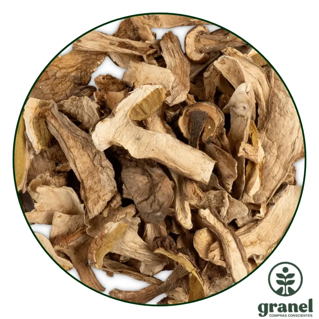 [6057] Hongos secos boletus luteus 250g