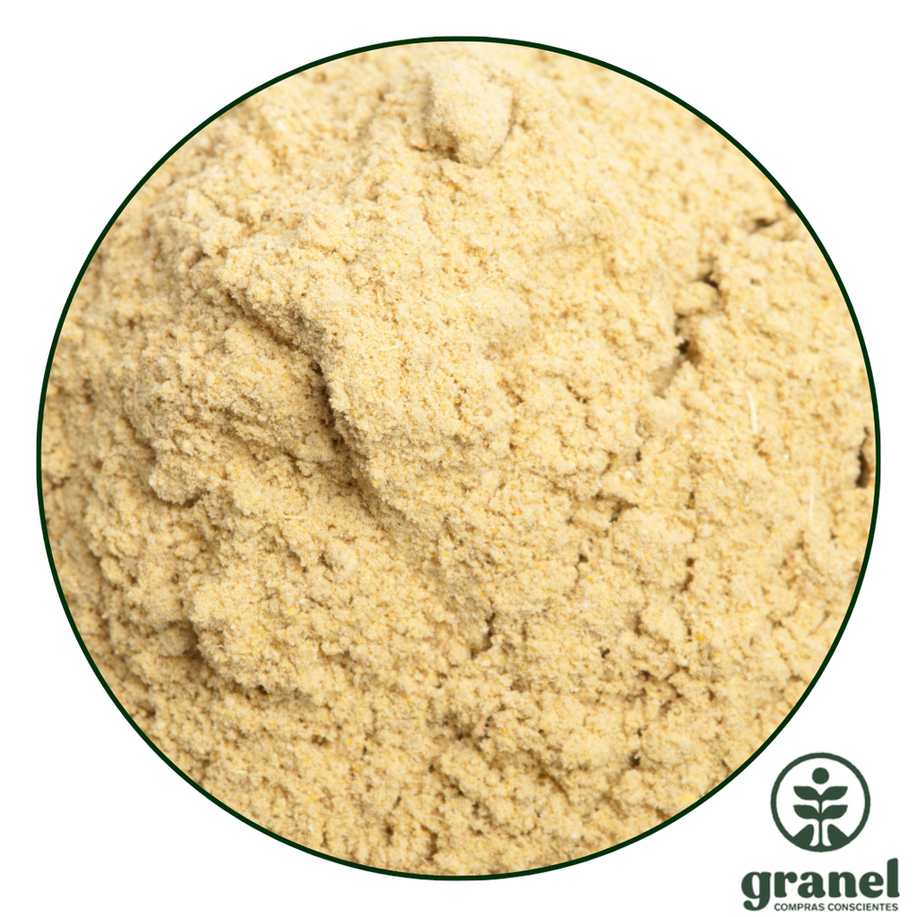 [6093] Jengibre en polvo 100g