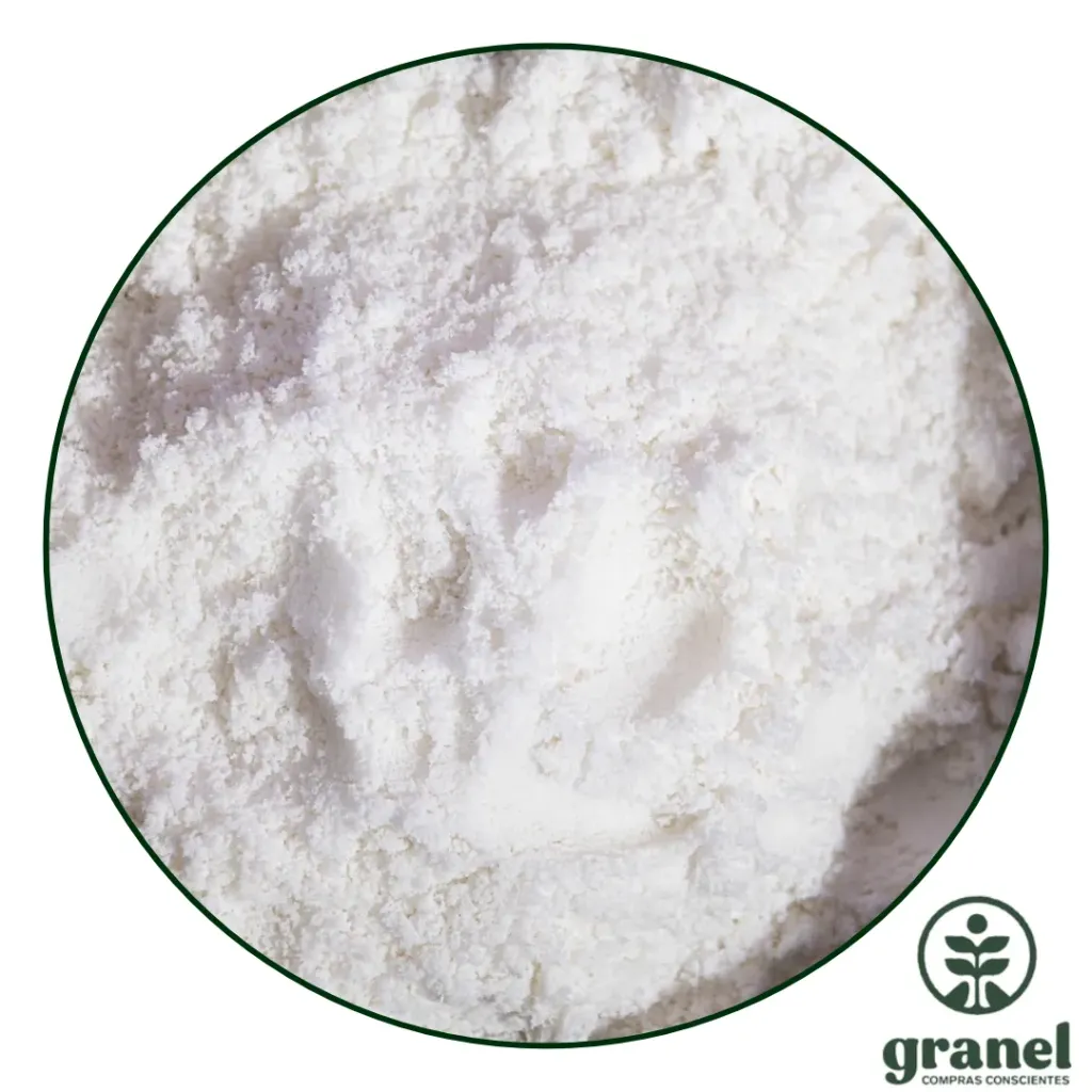 [10874] Leche de coco en polvo orgánica 500g