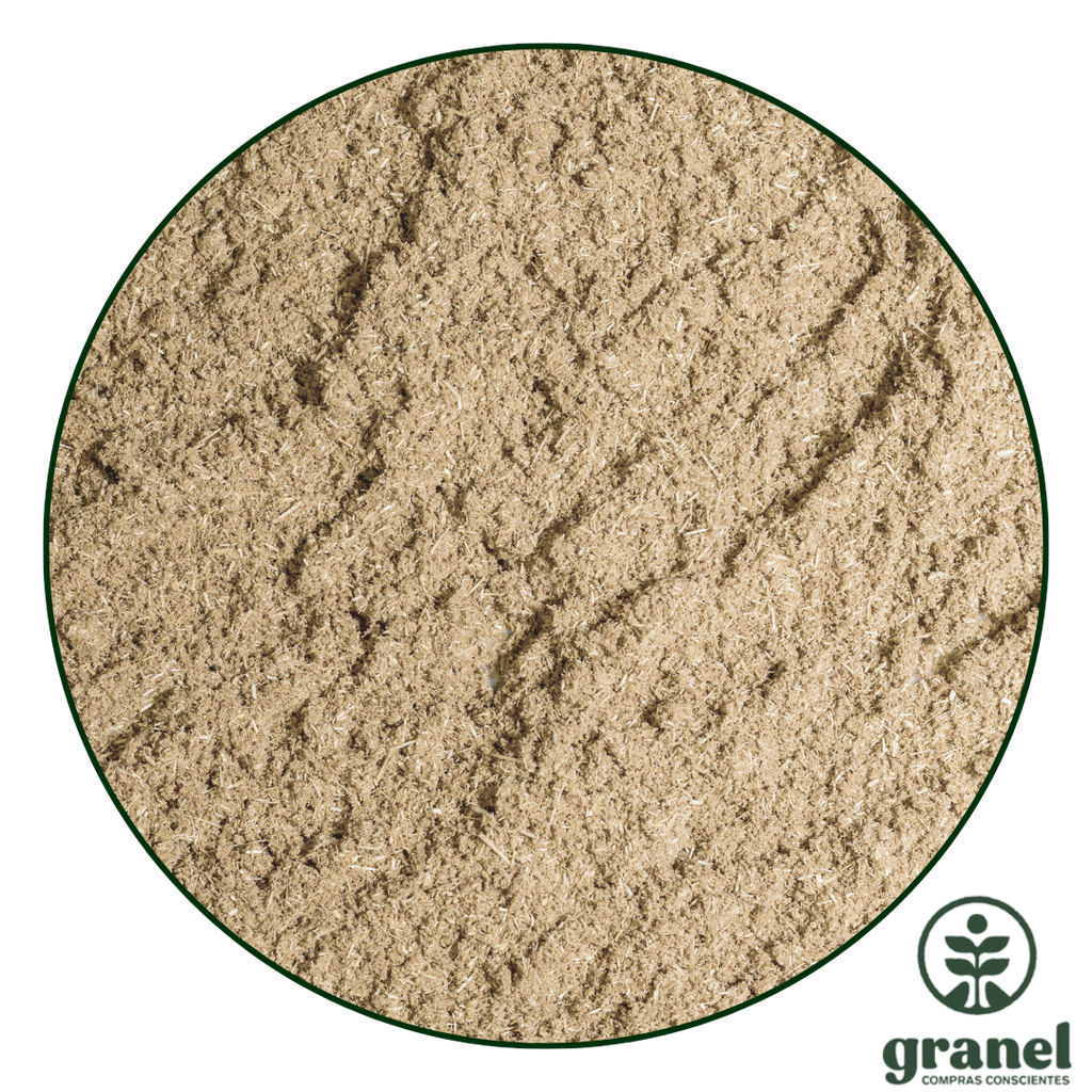 [Por encargue, plazo hasta 10 días] Coriandro molido 5kg