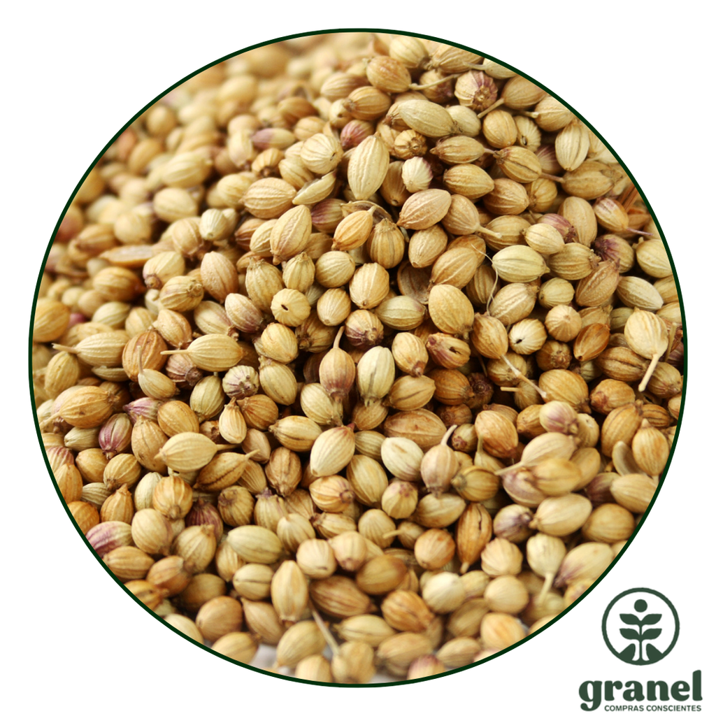 Coriandro en grano 500g