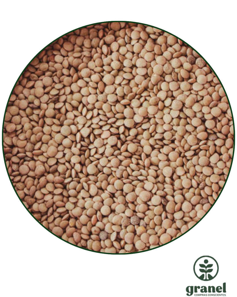 Lentejas 5kg